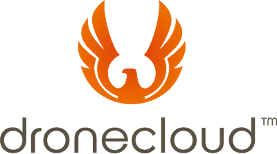 Team-dronecloud colour logo